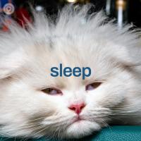 sleep