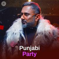 Punjabi Party: 펀자비 파티